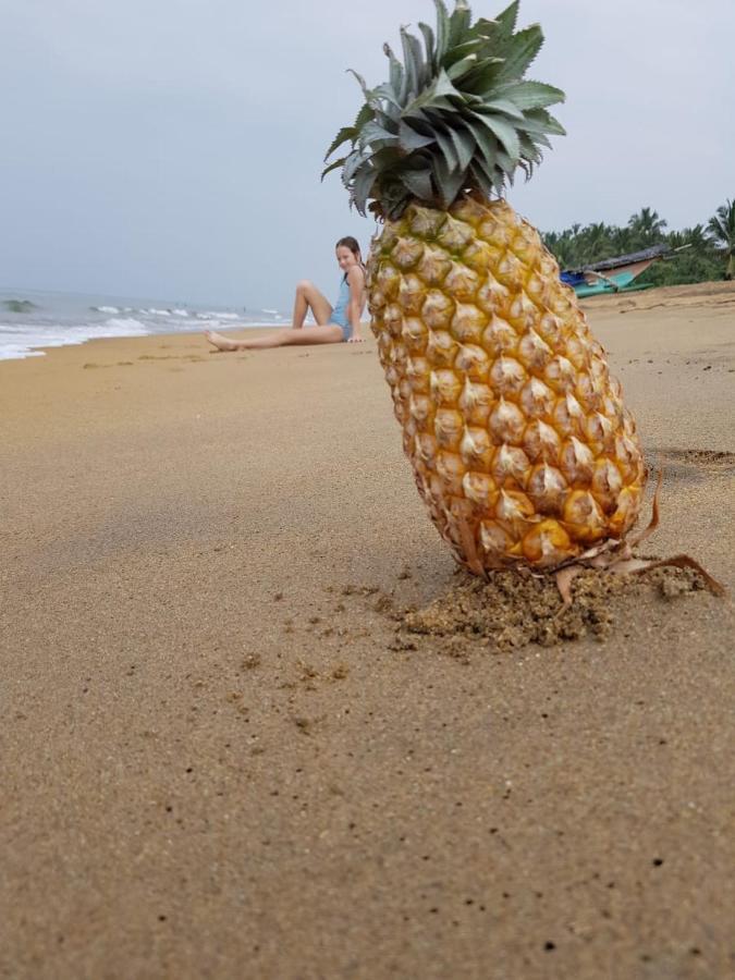 Mihilaka Holiday Homes Wadduwa Zewnętrze zdjęcie